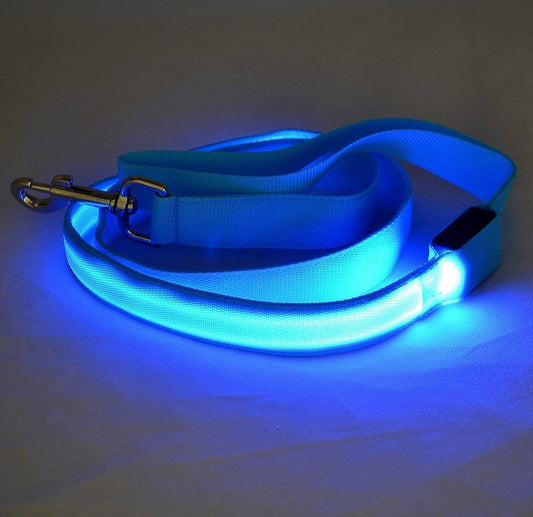 LED Light-Up Dog Leash – Night Safety Glow