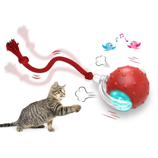 Interactive Cat Toy Ball – Automatic Rolling Play Ball for Cats