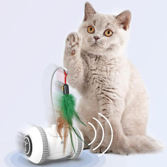 Smart USB Cat Robot Toy with Feather – Auto Movement